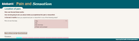 Preview of Online pain questionnaire screenshot C3a