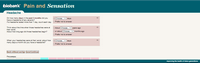 Preview of Online pain questionnaire screenshot E2-E4