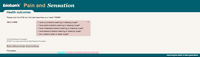 Preview of Online pain questionnaire screenshot H2