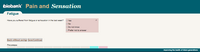 Preview of Online pain questionnaire screenshot J2