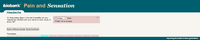 Preview of Online pain questionnaire screenshot E7