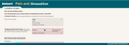 Preview of Online pain questionnaire screenshot C3a-C3ai