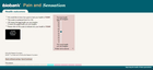 Preview of Online pain questionnaire screenshot H6