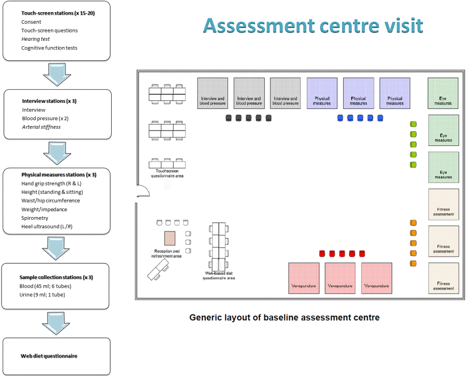 Clinic timelines